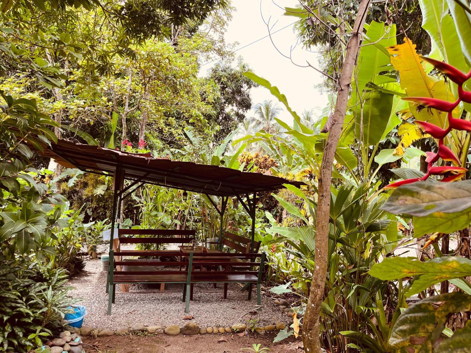 La Ruka Hostel Puerto Viejo de Talamanca Εξωτερικό φωτογραφία