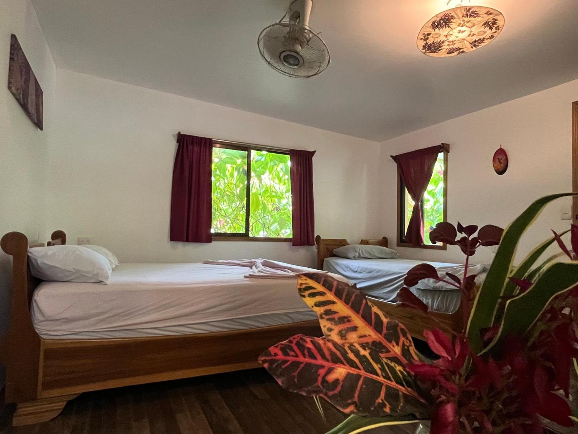 La Ruka Hostel Puerto Viejo de Talamanca Εξωτερικό φωτογραφία