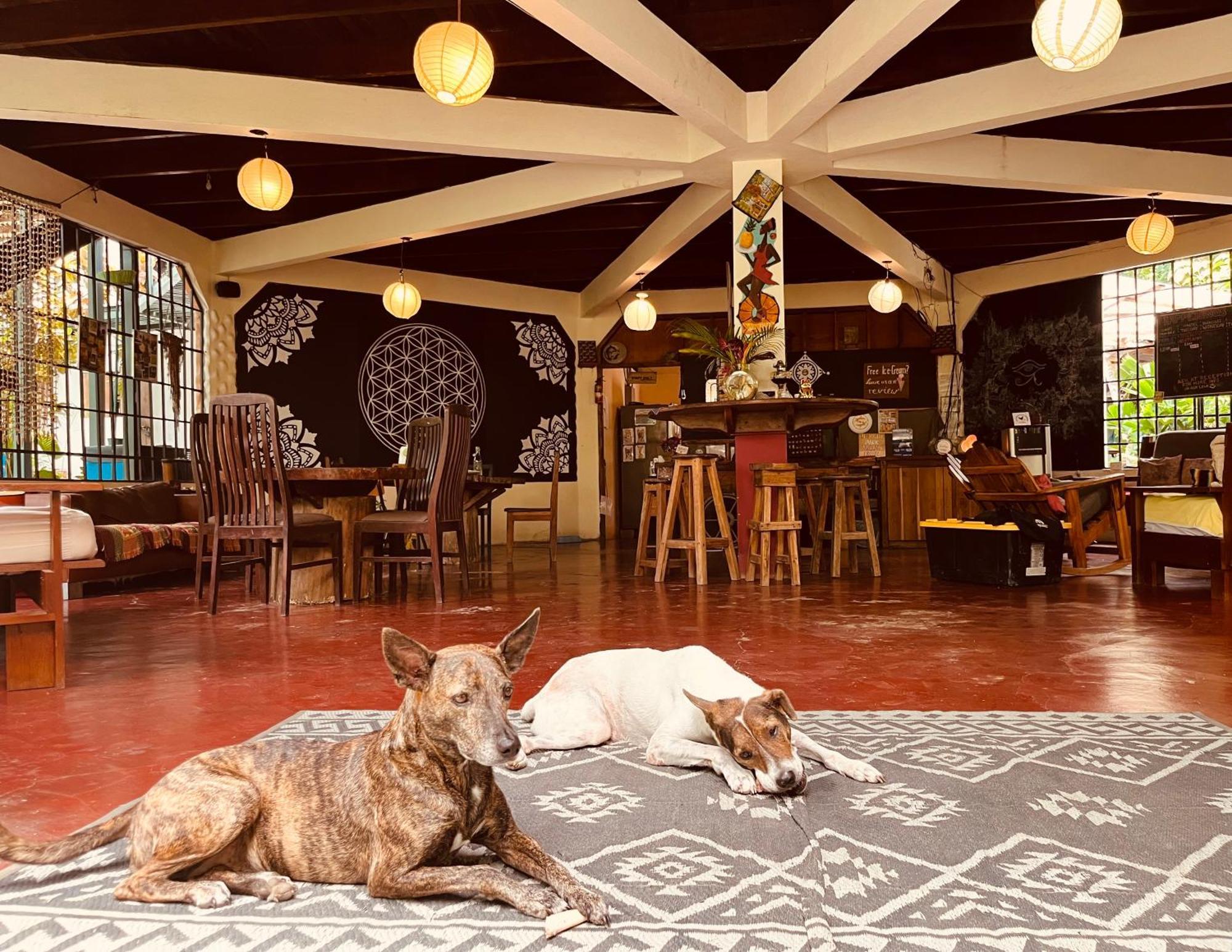 La Ruka Hostel Puerto Viejo de Talamanca Εξωτερικό φωτογραφία