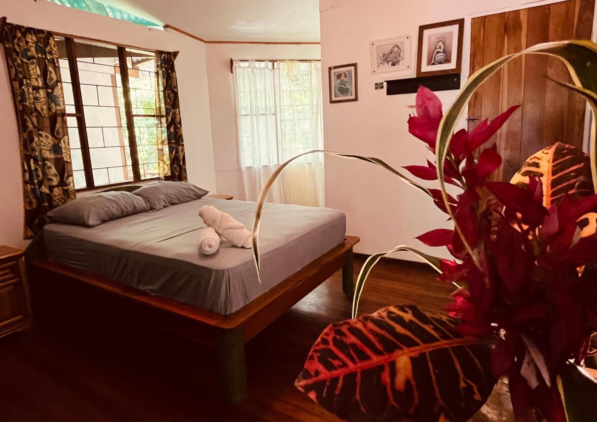 La Ruka Hostel Puerto Viejo de Talamanca Εξωτερικό φωτογραφία